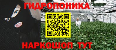 молекула духа Ливны