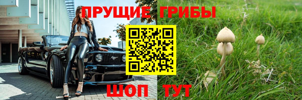 Родники  Псилоцибиновые грибы Magic Shrooms  Вход с VPN 