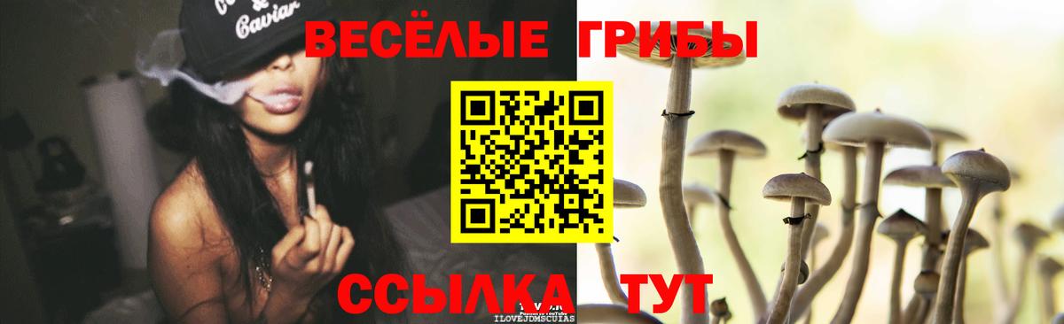 Галлюциногенные грибы Magic Shrooms Родники
